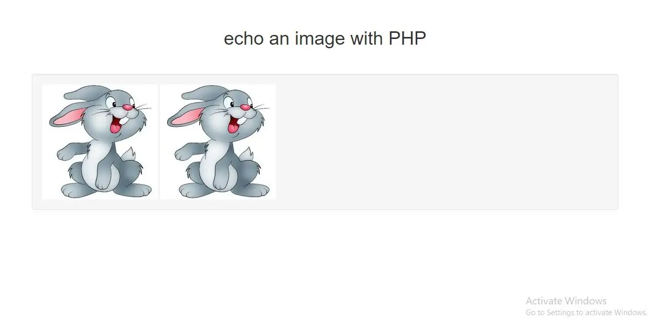 echo an image with php