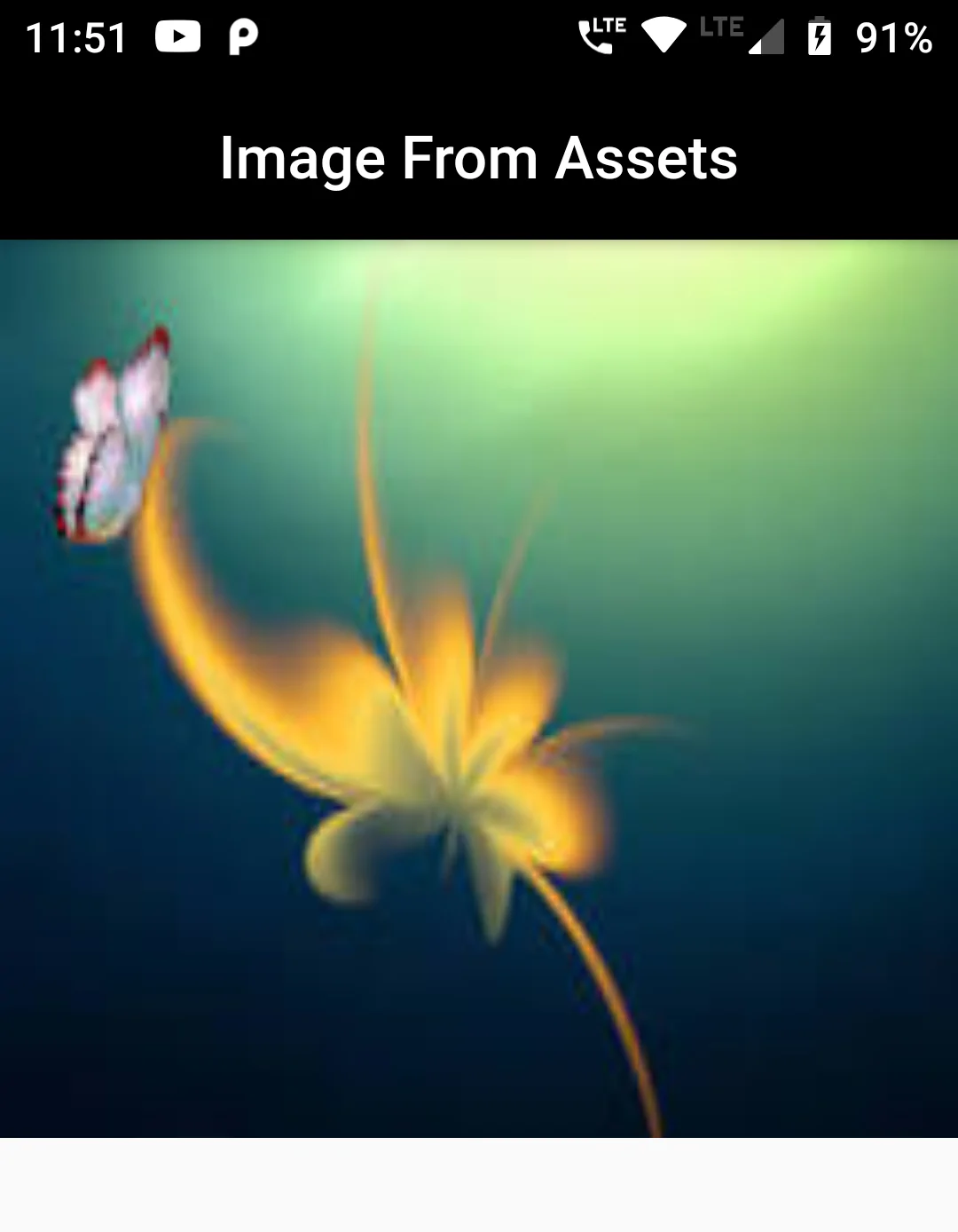 Add Image Assets in Flutter app