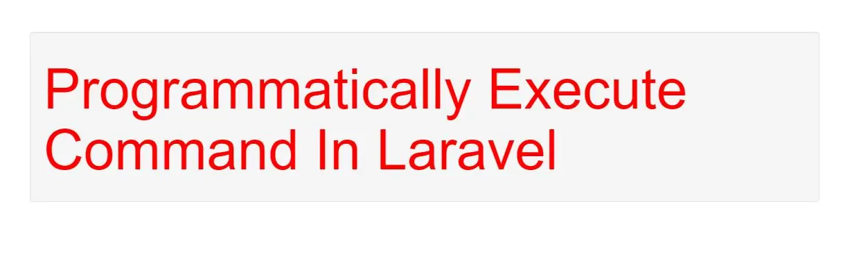 How To Programmatically Execute Command In Laravel
