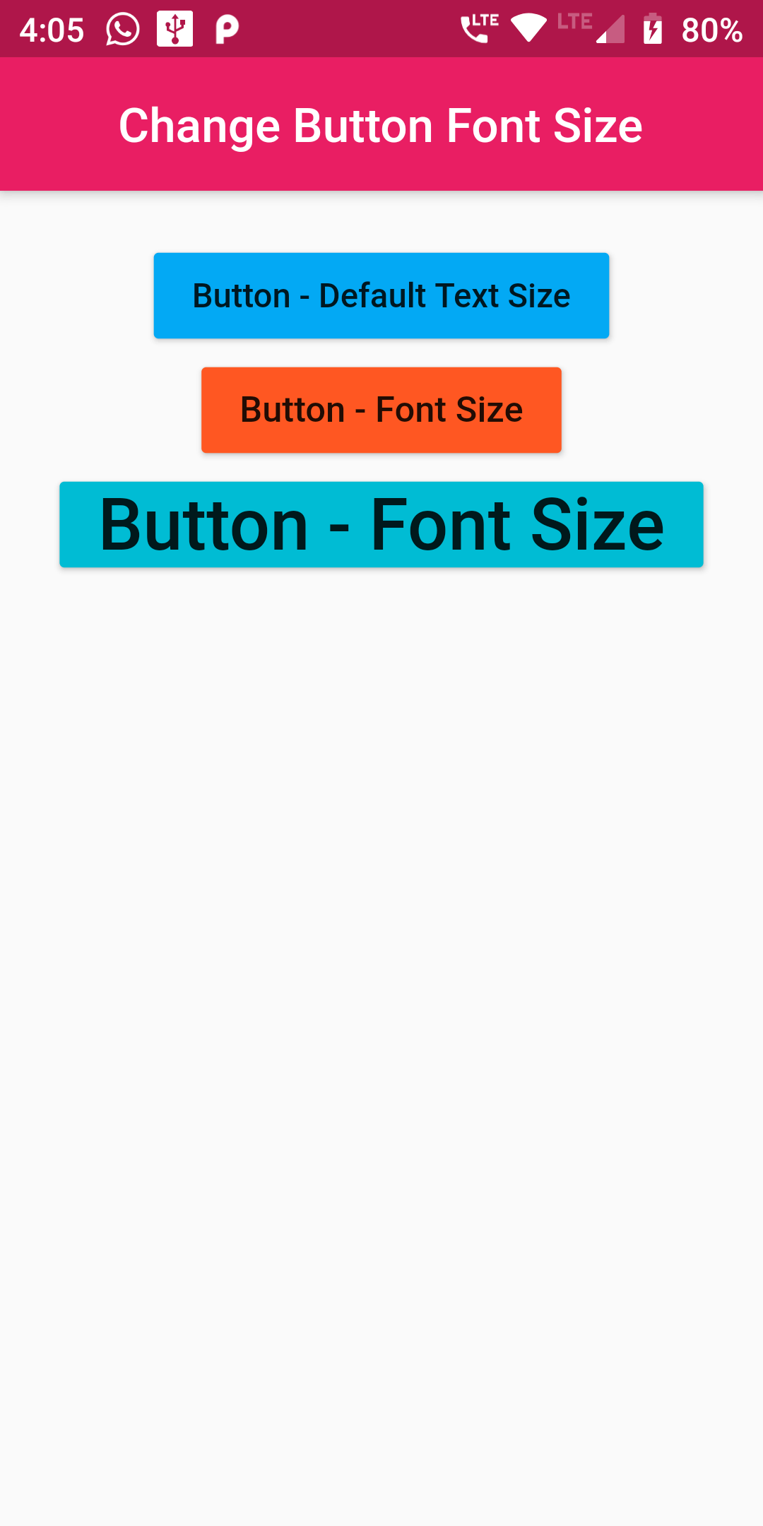 Change Button Text Font Size Using Flutter Android App