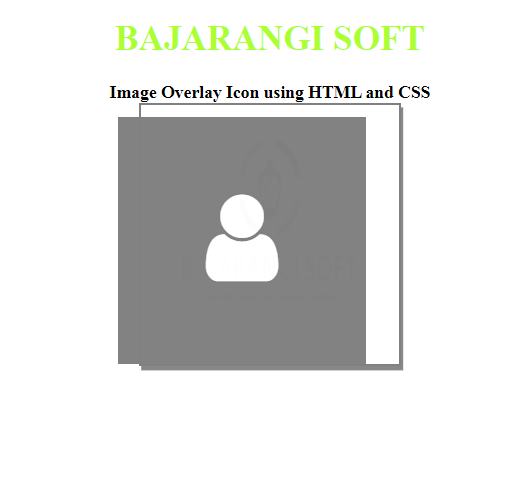 Image Overlay Icon