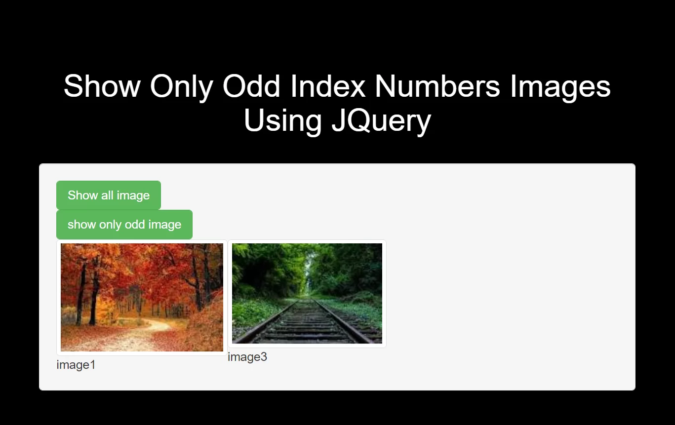 How Do I Show Odd Index Numbers Images Using JQuery