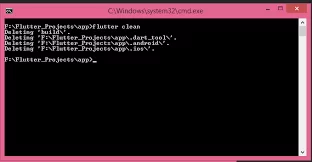 How To Clear Build Cache Using Flutter Android App