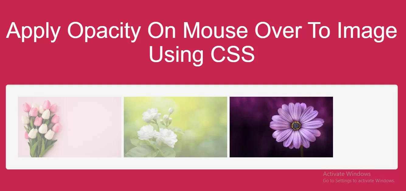 How To Apply Opacity On Mouse Over To Image Using CSS