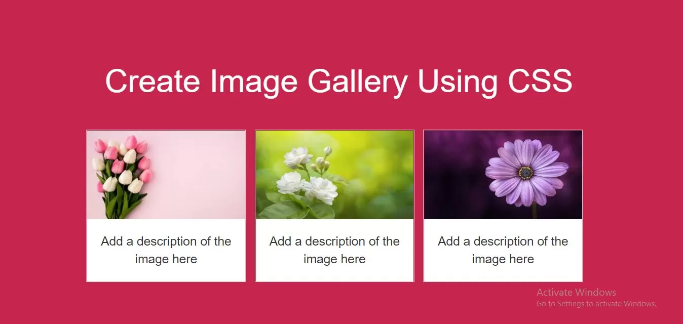How To Create Image Gallery Using CSS With Examples