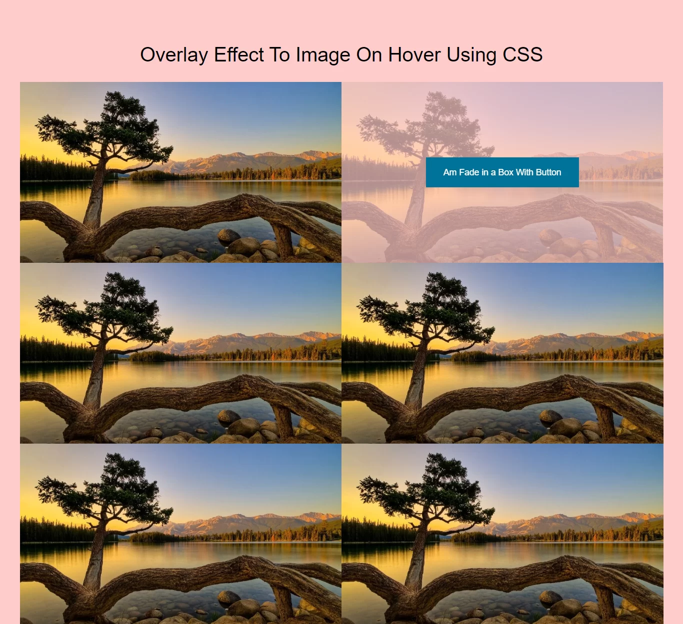 How To Apply Overlay Effect To Image On Hover Using CSS
