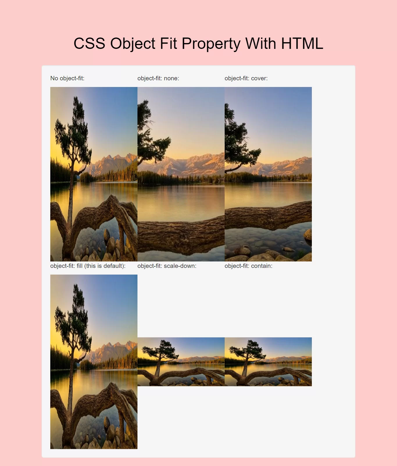 What Is The Use Of CSS Object Fit Property With HTML