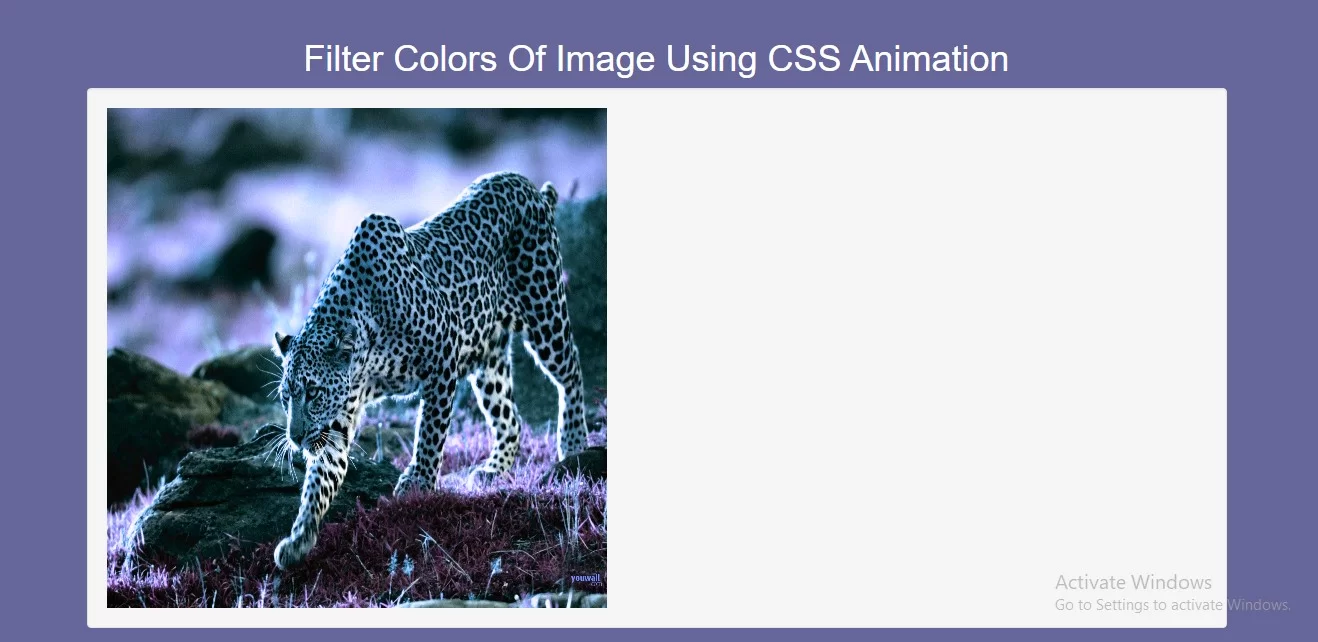 How Do I Filter Colors Of Image Using CSS Animation