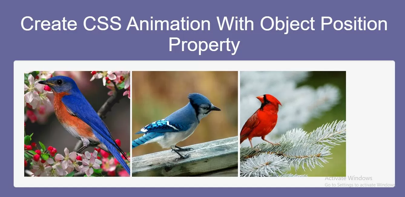 How To Create CSS Animation With Object Position Property