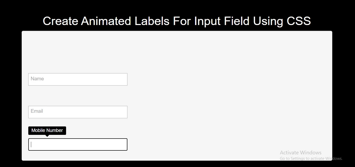 How To Create Animated Labels For Input Field Using CSS