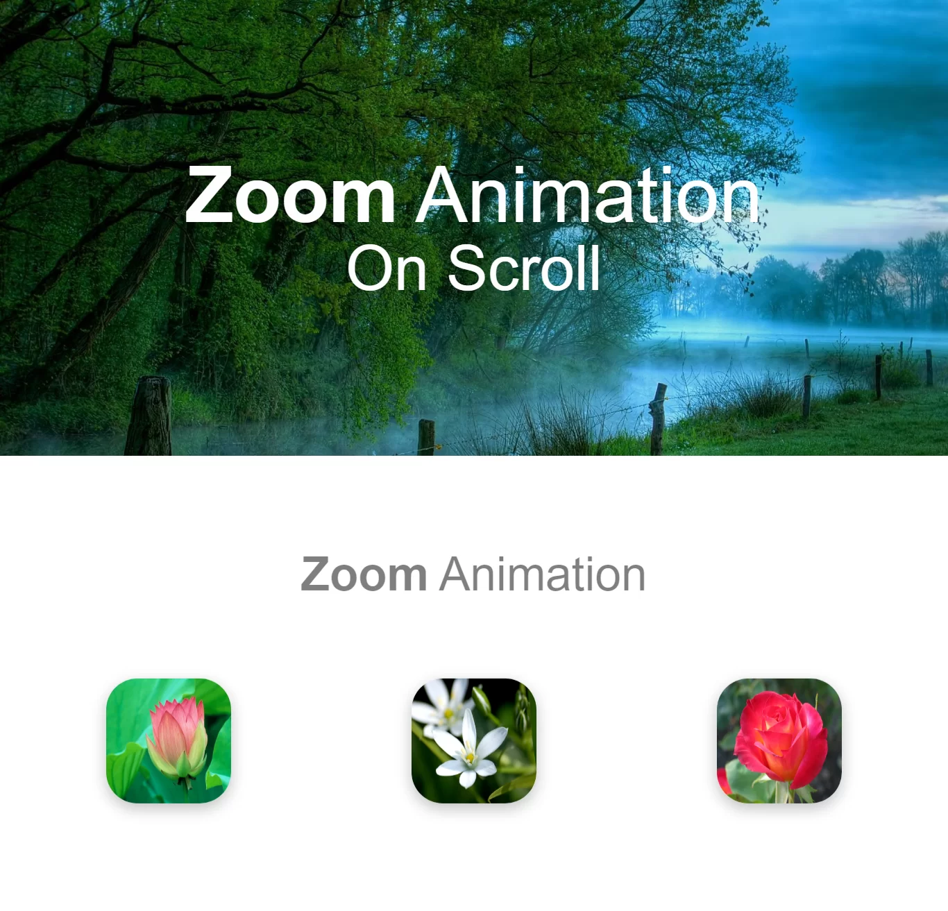 How Can I Create Zoom Animation On Scroll Using CSS