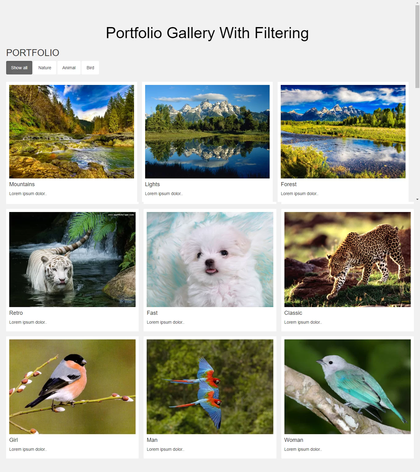 How Do I Create A Portfolio Gallery With Filtering