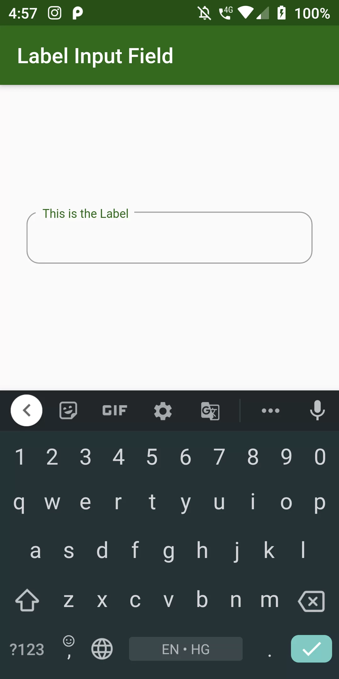 How To Create Text Field Input With Label Using Flutter