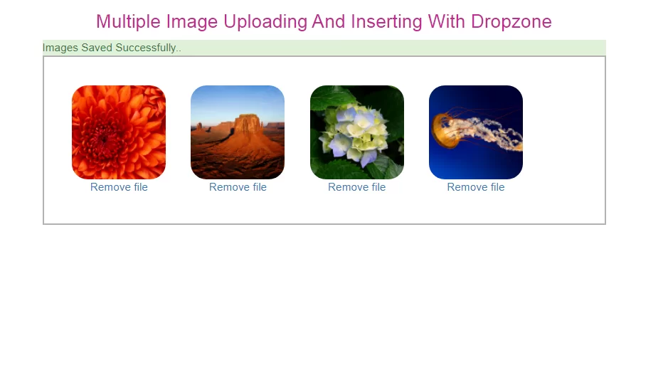 How To Upload And Insert Multiple Image With Dropzone In Laravel