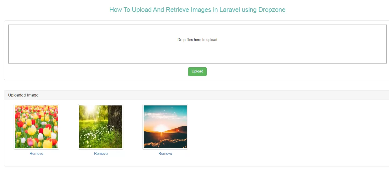 How To Upload And Retrieve Images Using Dropzone In Laravel